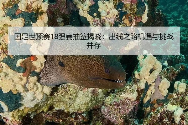 guo-zu-shi-yu-sai-qiang-sai-chou-qian-jie-xiao-chu-xian-zhi-lu-ji-yu-yu-tiao-zhan-bing-cun-2-808.jpg