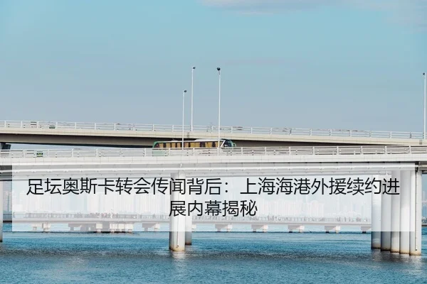 zu-tan-ao-si-ka-zhuan-hui-chuan-wen-bei-hou-shang-hai-hai-gang-wai-yuan-xu-yue-jin-zhan-nei-mu-jie-mi-2-897.jpg