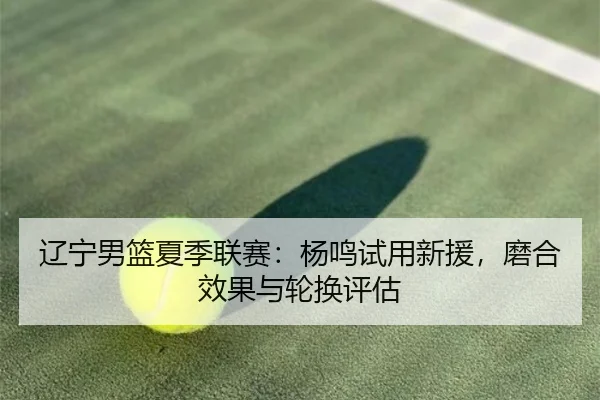 liao-ning-nan-lan-xia-ji-lian-sai-yang-ming-shi-yong-xin-yuan-mo-he-xiao-guo-yu-lun-huan-ping-gu-2-673.jpg
