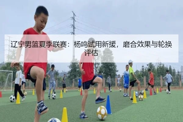 liao-ning-nan-lan-xia-ji-lian-sai-yang-ming-shi-yong-xin-yuan-mo-he-xiao-guo-yu-lun-huan-ping-gu-3-741.jpg